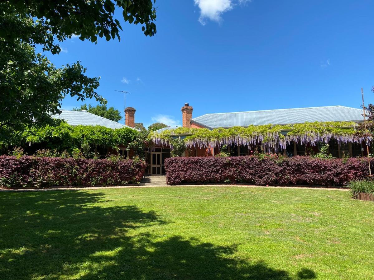 Twelve On Albert Beechworth Exterior photo