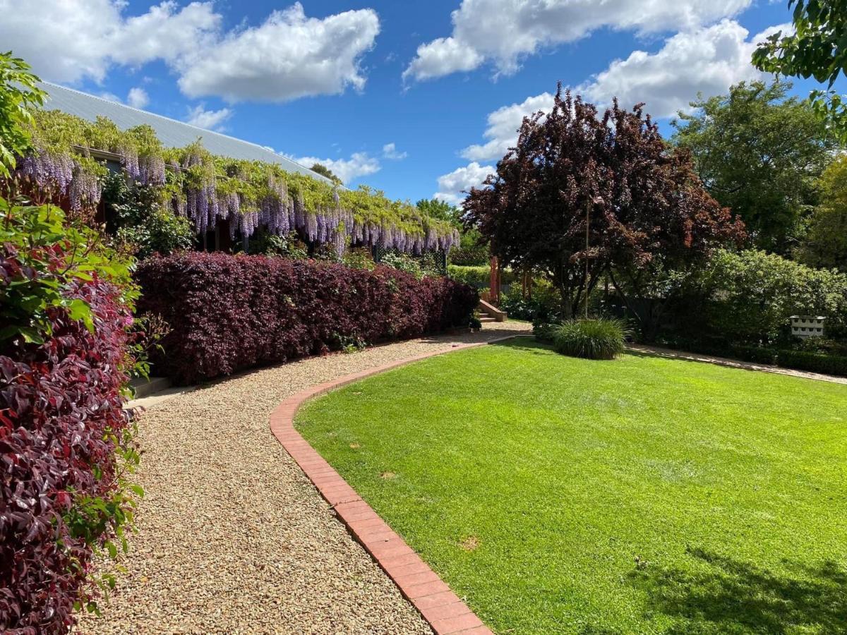 Twelve On Albert Beechworth Exterior photo